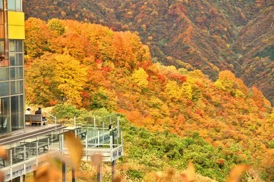 ザ・ヴェランダ石打丸山の紅葉 2026