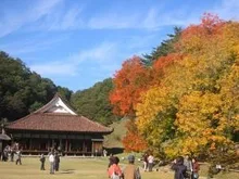 【紅葉・見ごろ】日本遺産「旧閑谷学校」 2026