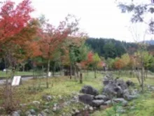 【紅葉・見ごろ】滝谷森林公園 2026