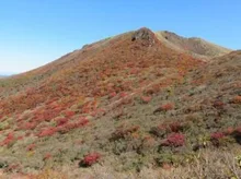 【紅葉・見ごろ】牧の戸峠 2026