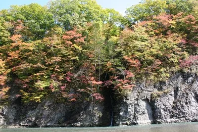 沙流川渓谷の紅葉 2026