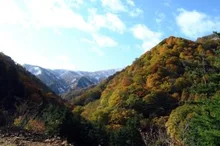 御所山の紅葉 2026