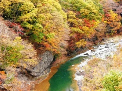 白砂渓谷ラインの紅葉 2026