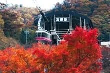 【紅葉・見ごろ】鶴見岳 2026