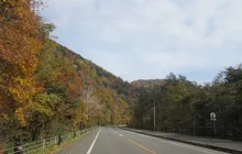 富良野麓郷周辺の紅葉 2026