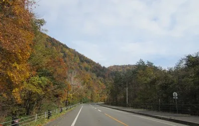 富良野麓郷周辺の紅葉 2026