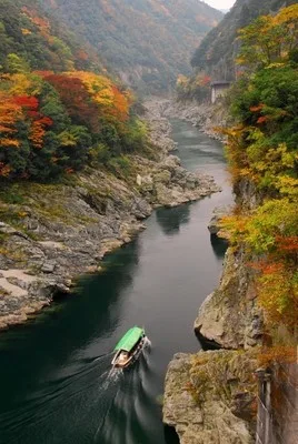 【紅葉・見ごろ】大歩危峡・小歩危峡 2026