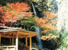 【紅葉・見ごろ】金剛の滝・龍頭の滝 2026