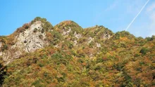 竜ヶ岳の紅葉 2026