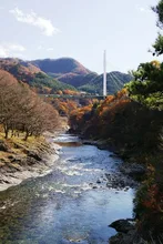諏訪峡の紅葉 2026