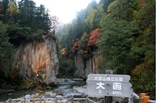 大函の紅葉 2026