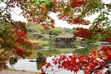 【紅葉・見ごろ】玄宮楽々園（玄宮園） 2026