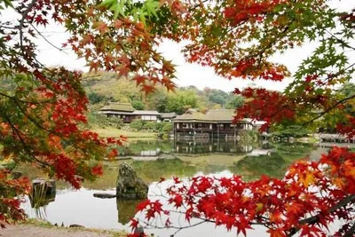 【紅葉・見ごろ】玄宮楽々園(玄宮園) 2026