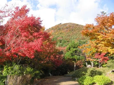 国上山の紅葉 2026