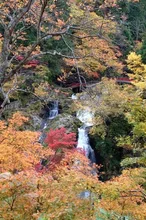 銀山温泉の紅葉 2026