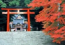 【紅葉・見ごろ】霧島神宮 2026