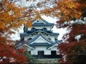 彦根城 紅葉見ごろ