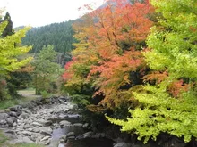 【紅葉・見ごろ】上津江フィッシングパーク 2026