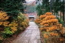 【紅葉・見ごろ】近江孤篷庵 2026