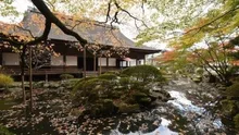 【紅葉・見ごろ】圓満院門跡 2026