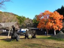 【紅葉・見ごろ】せせらぎ・豊鹿里パーク 2026