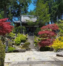 明王寺の紅葉 2026