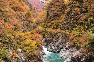 【紅葉・見ごろ】五十沢渓谷 2026