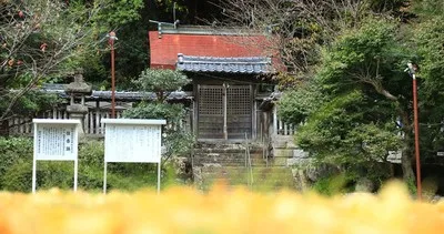 長野八幡神社例祭(住吉踊) 2026