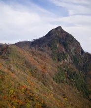 【紅葉・見ごろ】冠山 2026