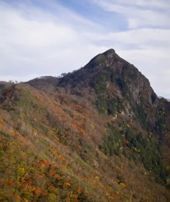 【紅葉・見ごろ】冠山 2026