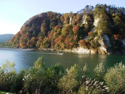 【紅葉・見ごろ】八向楯 2026