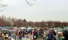 しらこばと水上公園ビッグフリーマーケット（11月） 2026