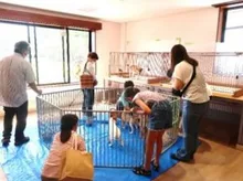 広島県動物愛護センター 犬の譲渡会 2026
