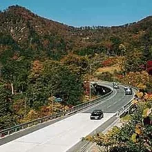 秋の宮温泉郷・仙秋ラインの紅葉 2026