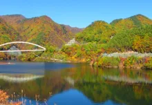 【紅葉】みずがき湖 2026