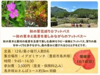 2026秋森林セラピー体験 フットパス