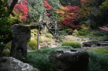 【紅葉・見ごろ】興禅寺 2026