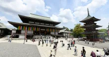 成田山新勝寺 成田山公園の紅葉 2026