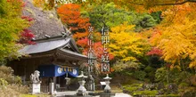 英彦山大権現の紅葉 2026