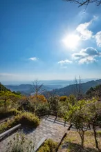 【紅葉・見ごろ】高山森林公園 2026