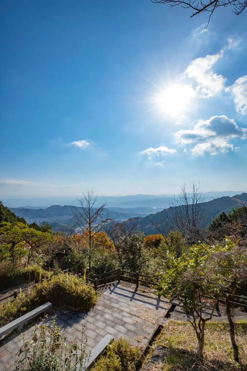 【紅葉・見ごろ】高山森林公園 2026