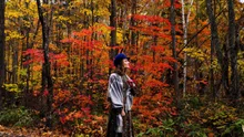 バスで行く「五大紅葉」 2026