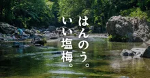 名栗湖 有間渓谷の紅葉 2026