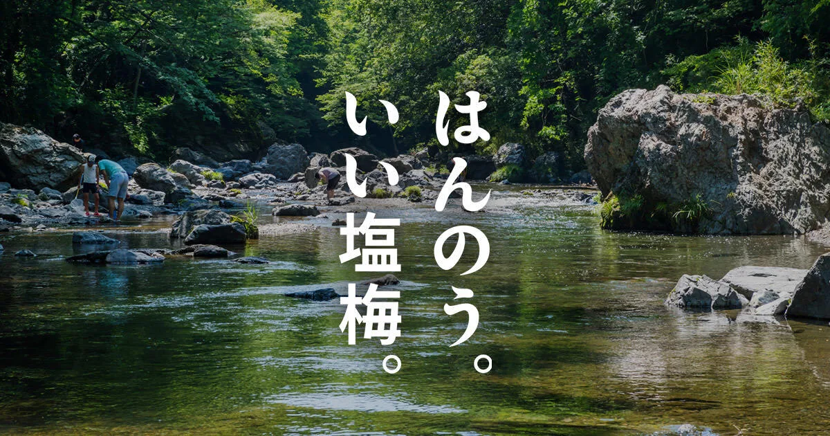 名栗湖 有間渓谷の紅葉 2026