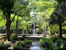 大寧寺の紅葉 2026
