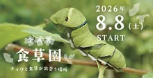 食草園　ーチョウと食草が出会う場所ー 2026
