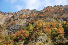 【紅葉・見ごろ】海谷渓谷 2026
