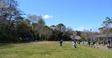 県立三ツ池公園の紅葉 2026
