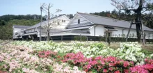 重谷一甫原画展　～まるちゃんと巡る、旅と名所のものがたり～ 2026