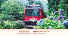 出山鉄橋(早川橋梁)の紅葉 2026